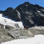 © bonneval-sur-arc-randonnee-sources-de-larc - HMVT