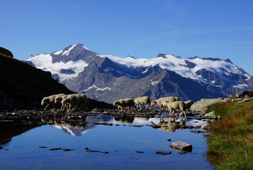 Refuge du Carro - Un sentier balcon à couper le souffle - Rando pédestre 2 jours