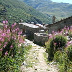 © Le hameau de l'Ecot à Bonneval-sur-Arc en été - OT HMV