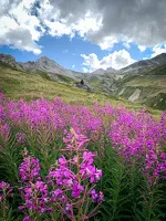 © Chemin de la Duis - CCHMV APN