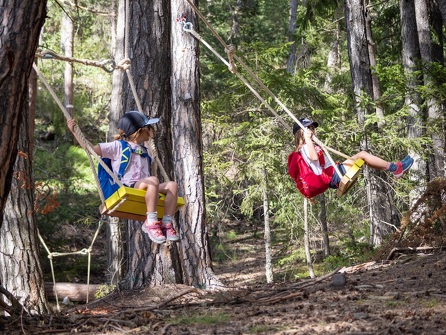 Forêt de balançoires