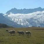 © 5-Day Hiking Tour of Méan Martin - Stage 1 - From Bonneval sur Arc the Vallonbrun Refuge - K. Mandray