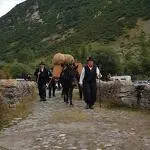 © Rassemblement Musical des Gens de l'Alpe - B. Filliol - OTHMV