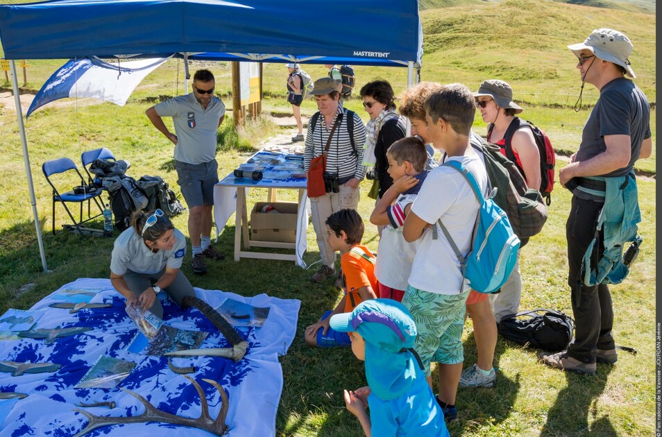 © parc-national-vanoise-stand-bellecombe - J.Jourdan - PNV