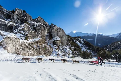 23rd edition of La Grande Odyssée Royal Canin in Haute Maurienne Vanoise