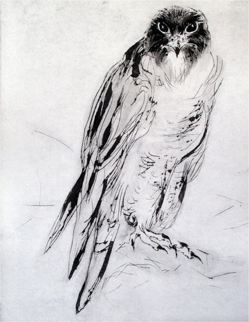 © Exposition Photographies, Peintures & Estampes à Bonneval-sur-Arc - Isis Olivier