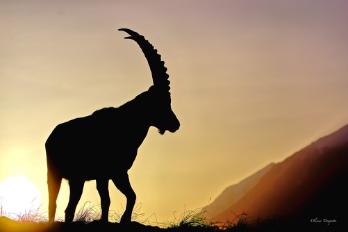 Exposition collective - Photographies, peintures & estampes