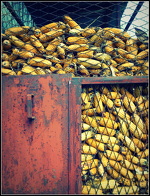 © Exposition collective - Photographies, peintures & estampes_Bonneval-sur-Arc - Fabien Bessin