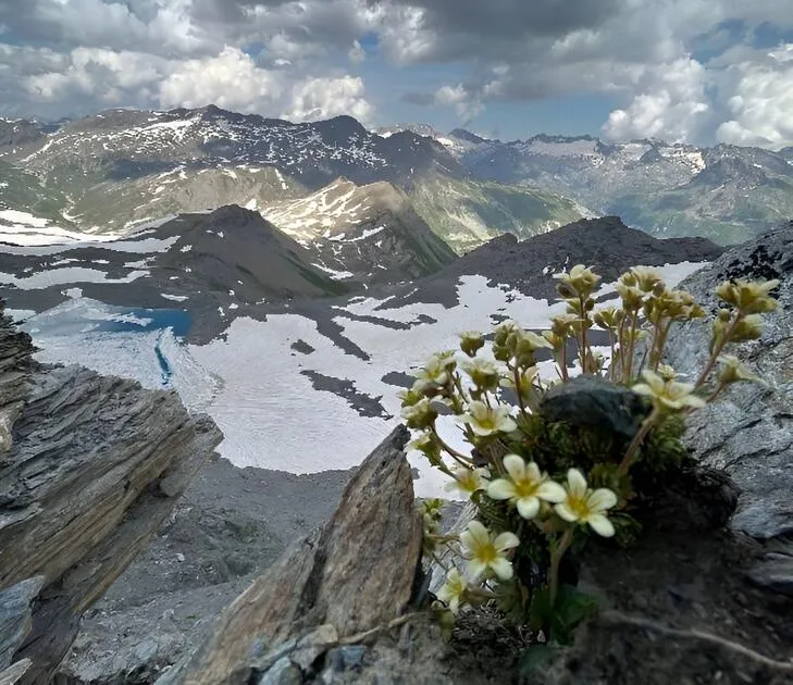 © Randonnée d’Altitude : La Pointe de la Met 3041m_Bonneval-sur-Arc - Terre d'Alpinisme