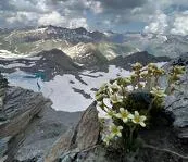© Randonnée d’Altitude : La Pointe de la Met 3041m_Bonneval-sur-Arc - Terre d'Alpinisme