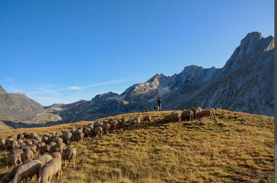© Rencontres pasto_Aussois - PNV