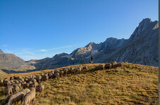 © Rencontres pasto_Aussois - PNV